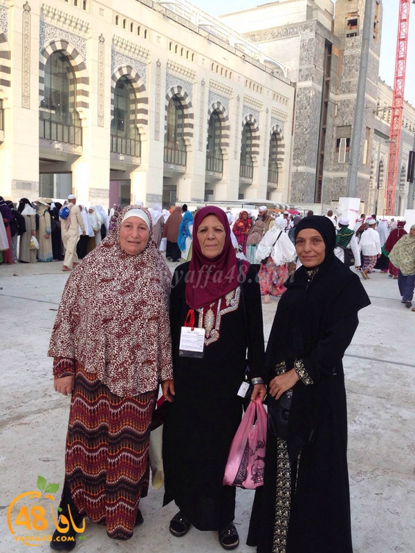 7Ojaj yaffa (16).JPG